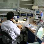 Travail sous binoculaire Travail sous binoculaire